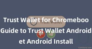 Trust Wallet for Chromebook Easy Guide to Trust Wallet Android Install